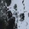 BillyGoat