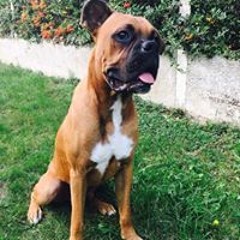 Ludivine Foreverandever