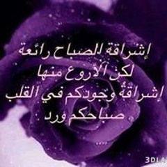 Omar AbdelHakem Mohamed
