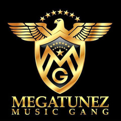 Megatunez Naija