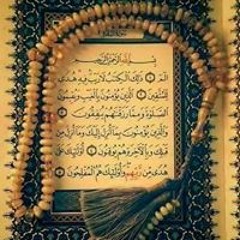 مومن السايس