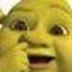 Twenty (AbbsLoves5SOS)