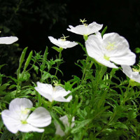 引っ越しの時 逆襲の時 騒音おばさん By 0