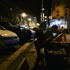 Sesler