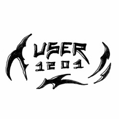 USER 1201