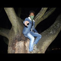 Xander_yxl