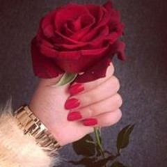 Nour Omar