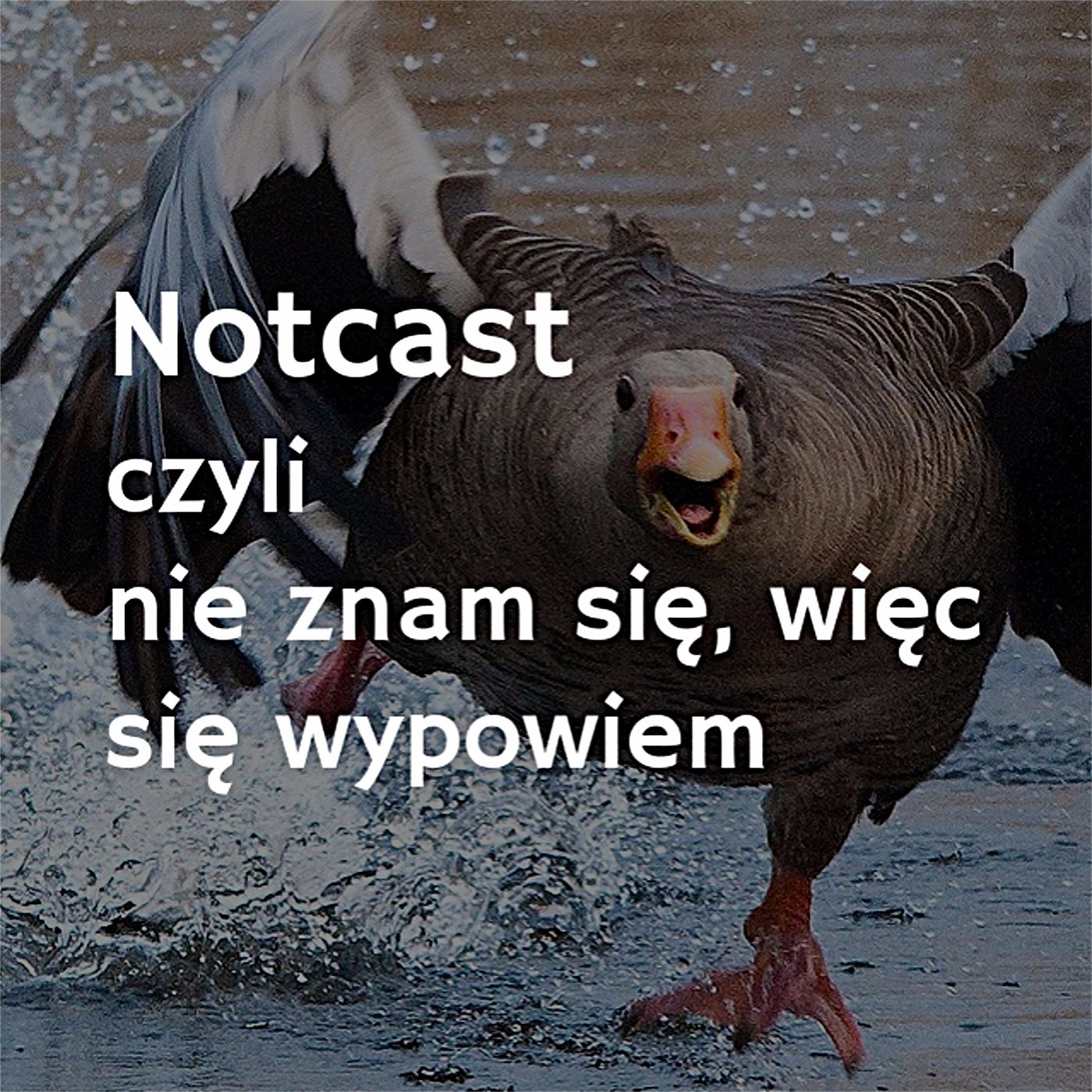 notcast