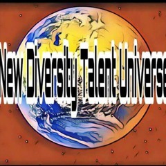 NEW DIVERSITY TALENT UNIVERSE LLC