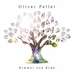 Oliver Pellet