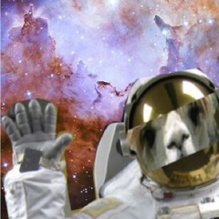 lamasinspace