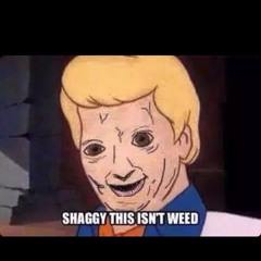Blue_Thunder POW