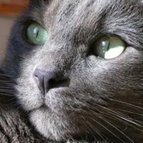 مدرسة الشيخ محمد صفوت جعفر - جزء 10