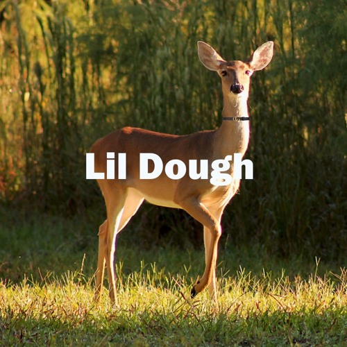 Lil Dough’s avatar