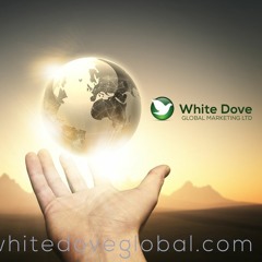 White Dove Global