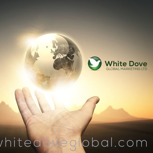 Stream White Dove Global music Listen to songs, albums, playlists for