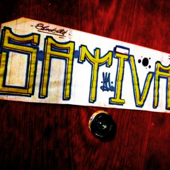 S. ATIVA Production's