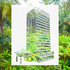 Half Hour At The Hilton