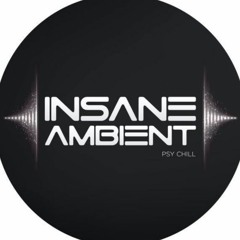 Insane ambient (Rudra Mantra Records/Açaí Records)