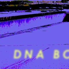 DNA Boulevard Mania