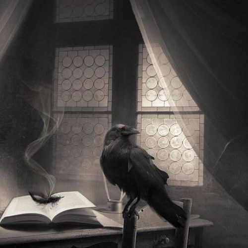 Stream J the raven music | Listen to songs, albums, playlists for free ...