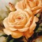 Hadeer Shawky