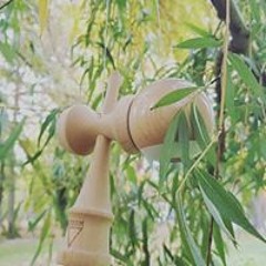 Balhui Tudor