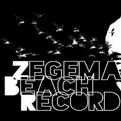 Zegema Beach Records