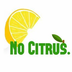 No Citrus. Management & Consulting