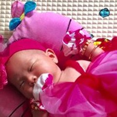 Minh Tri Le