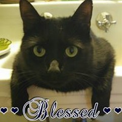 Robin Hutchinson-Looney