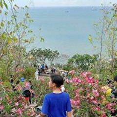 Việt Anh
