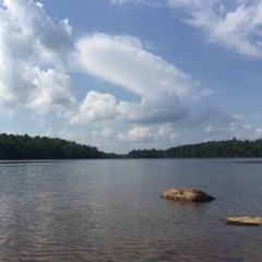 NatureInAQuarterHour