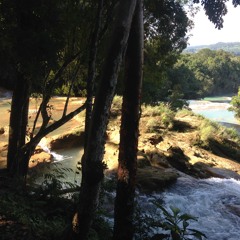 Paramedik Amnesico