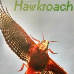 Hawkroach