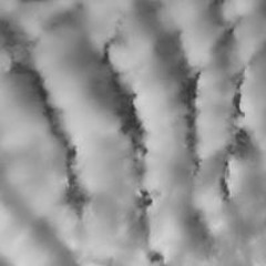 غزاله غزاله