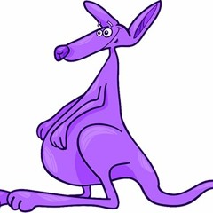 Purple Kangaroo