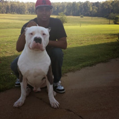 They Don't Know Feat.  Petey Pablo  Produced by D2therj