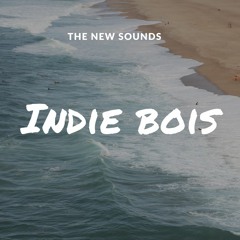 INDIE BOIS