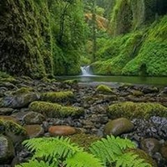 Roberth Huillca Taiña