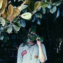 Anfi Cool