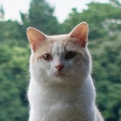 Nanase