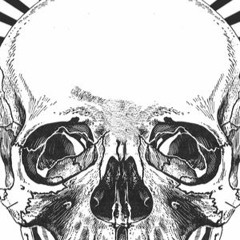 Rising Pulse Records