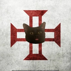 Newt The Crusader Cat