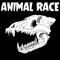 Animal Race