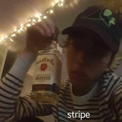 lil parsel