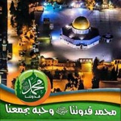 أحمد ابو آسر