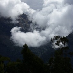 Лиза Родионова