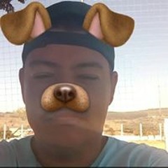 Roger Veloso Calixto
