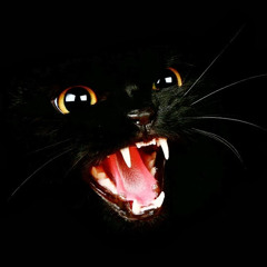 Артем Брундаков